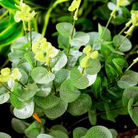 uploads/erp/collection/images/Home Garden/CongDing/XU0610494/img_b/XU0610494_img_b_3